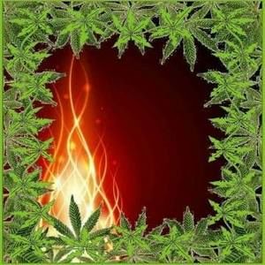 Meet your Posher, Ralph